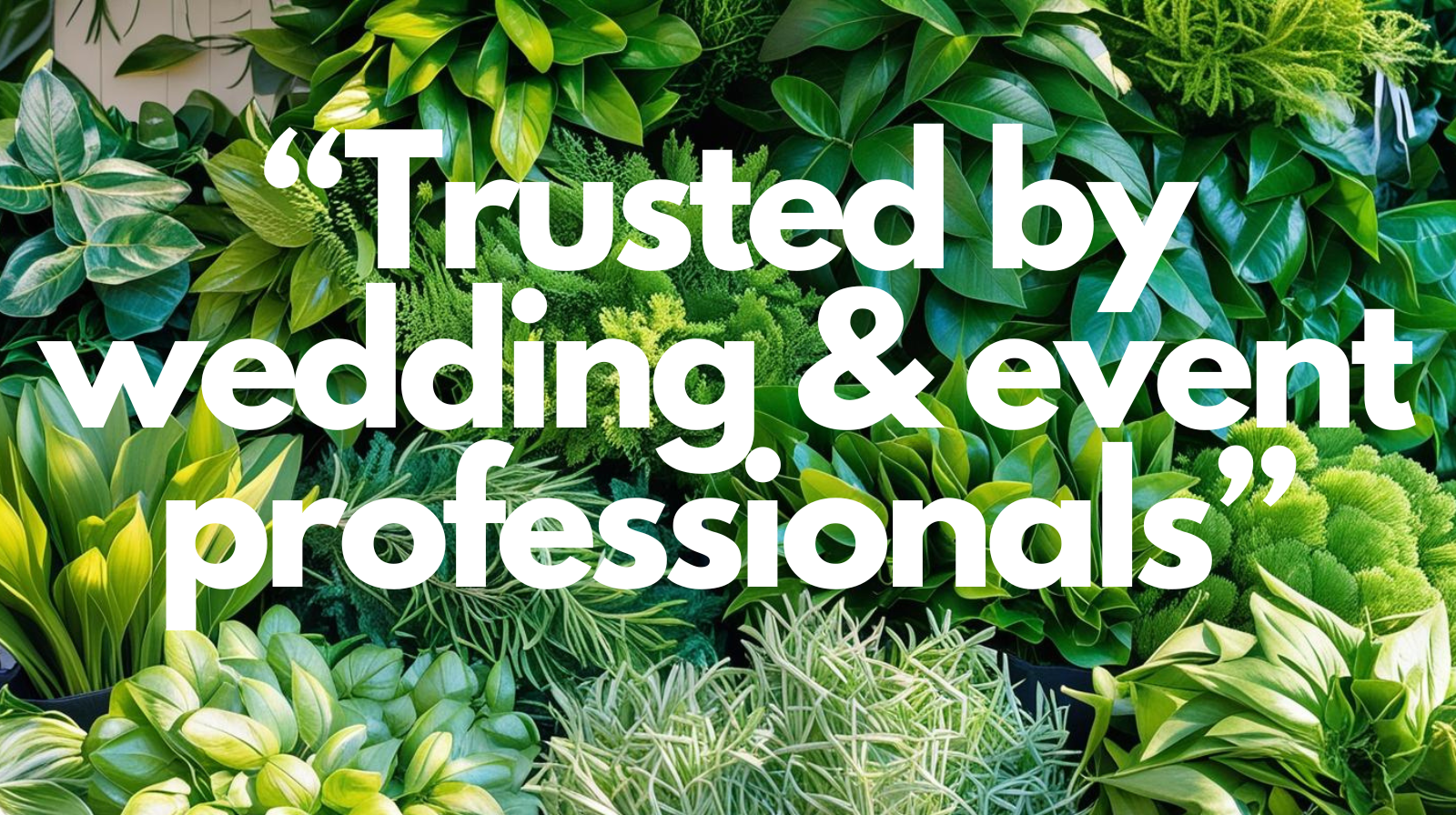 trusted by wedding & event professionals
